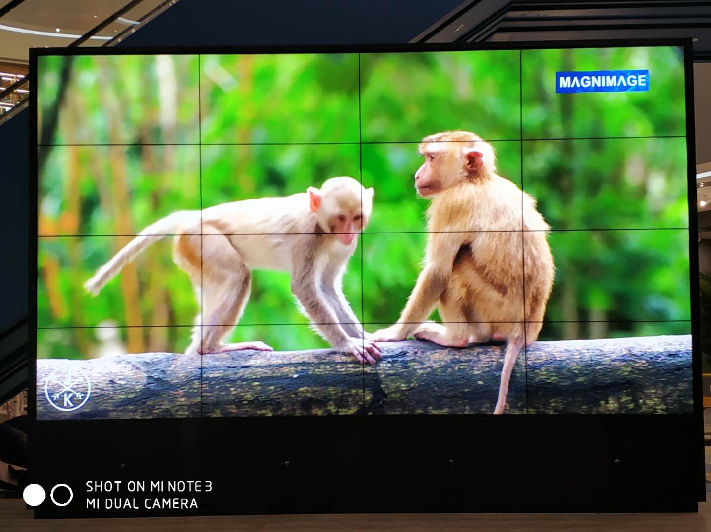 黃岡某書店46寸4×4 黃岡某書店46寸4×4