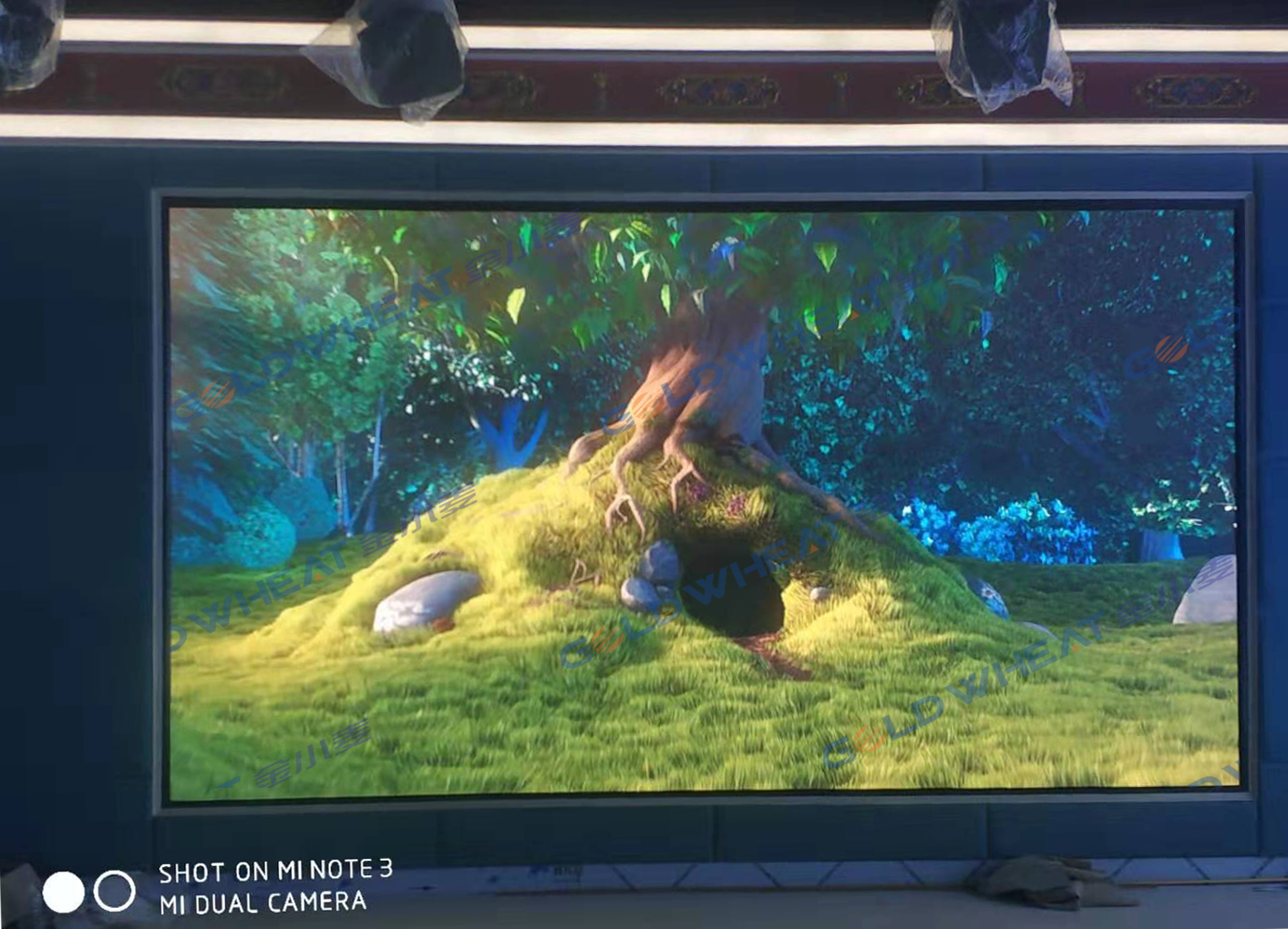 青海省某電視臺室內(nèi)Q2全彩 青海省某電視臺室內(nèi)Q2全彩