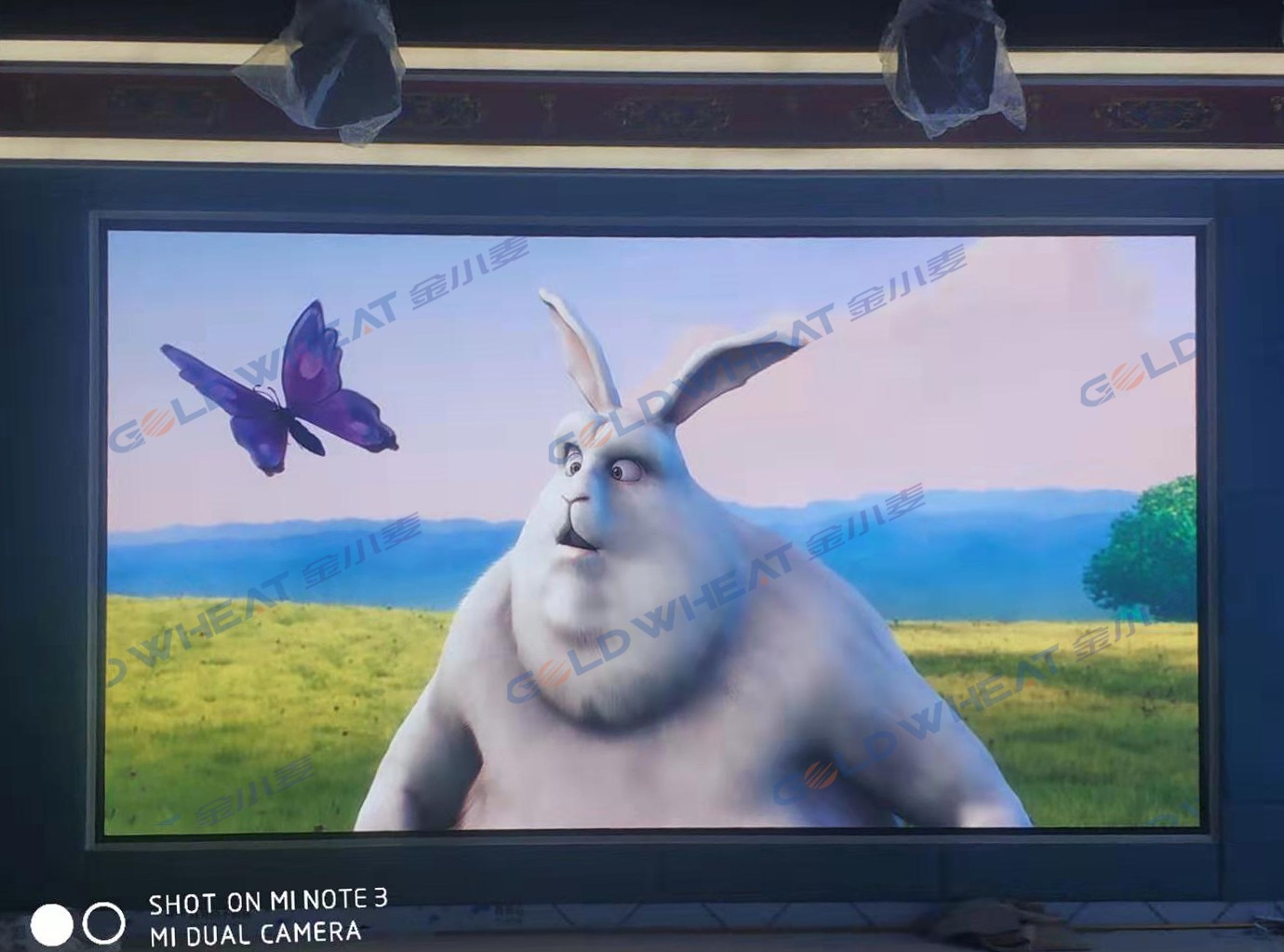 探索顯示屏的多樣性：液晶、有機(jī)發(fā)光二極管和曲面屏幕